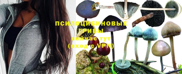 ECSTASY Елабуга
