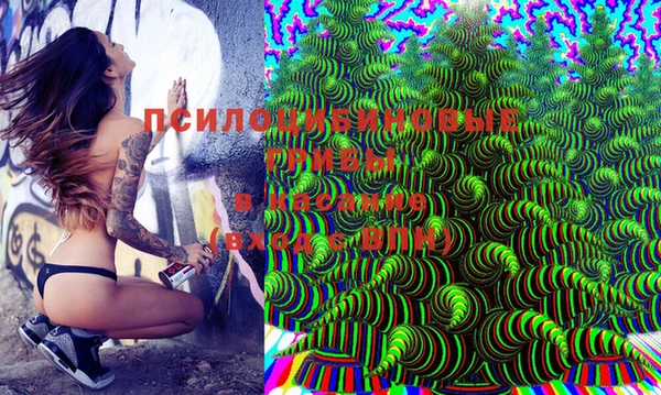 MDMA Ельня