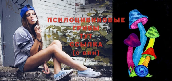 MDMA Ельня