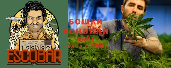 MDMA Ельня