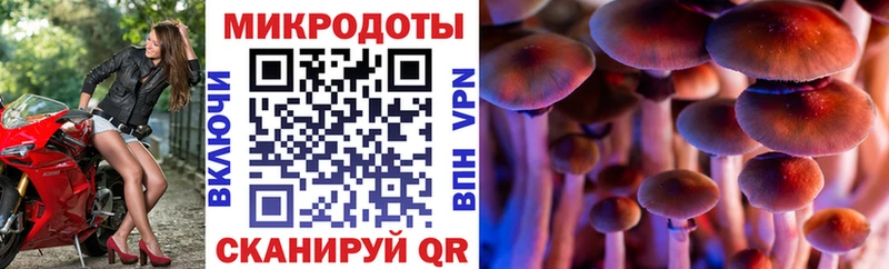 Псилоцибиновые грибы GOLDEN TEACHER  Купить закладки  Барыш 